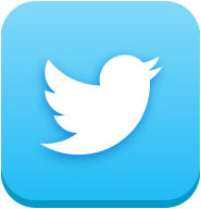 Twitter Icon