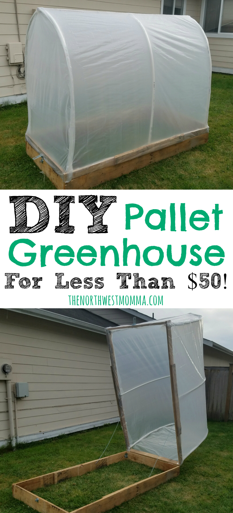 DIY pallet greenhouse for less than $50!